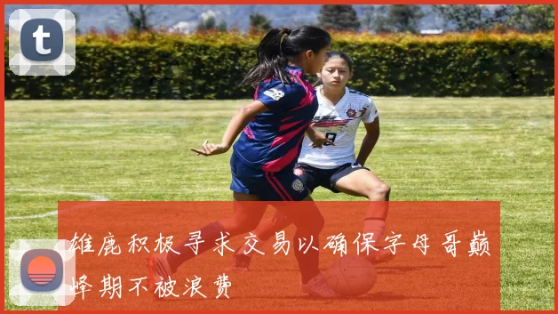 雄鹿积极寻求交易以确保字母哥巅峰期不被浪费